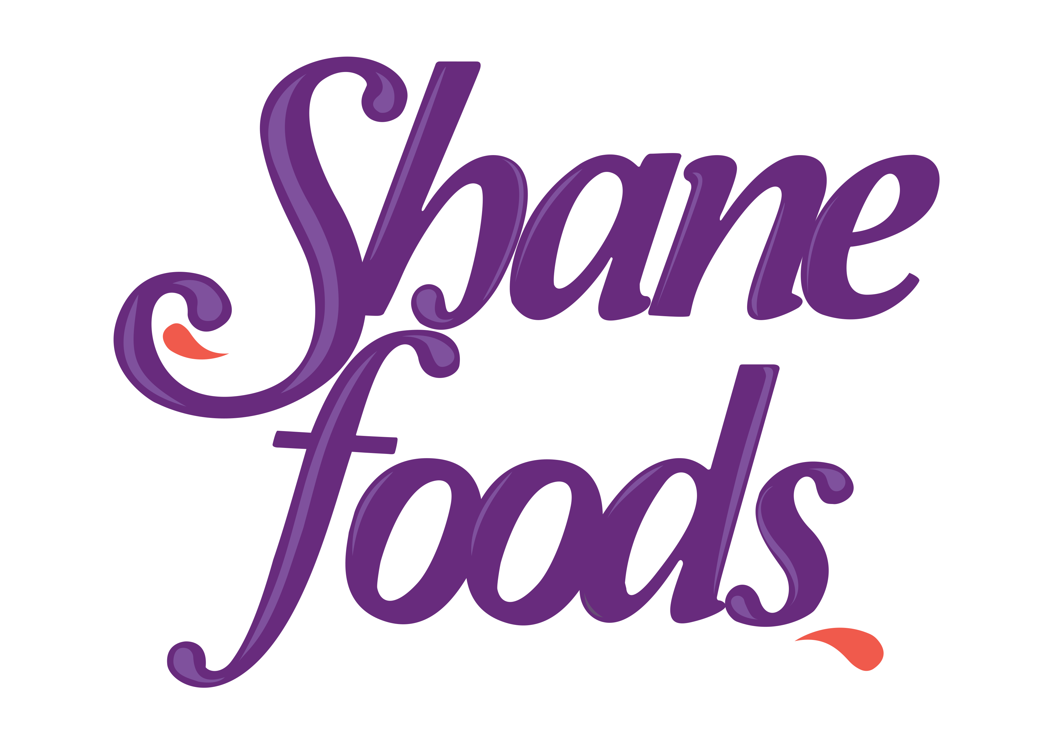 Shane Foods